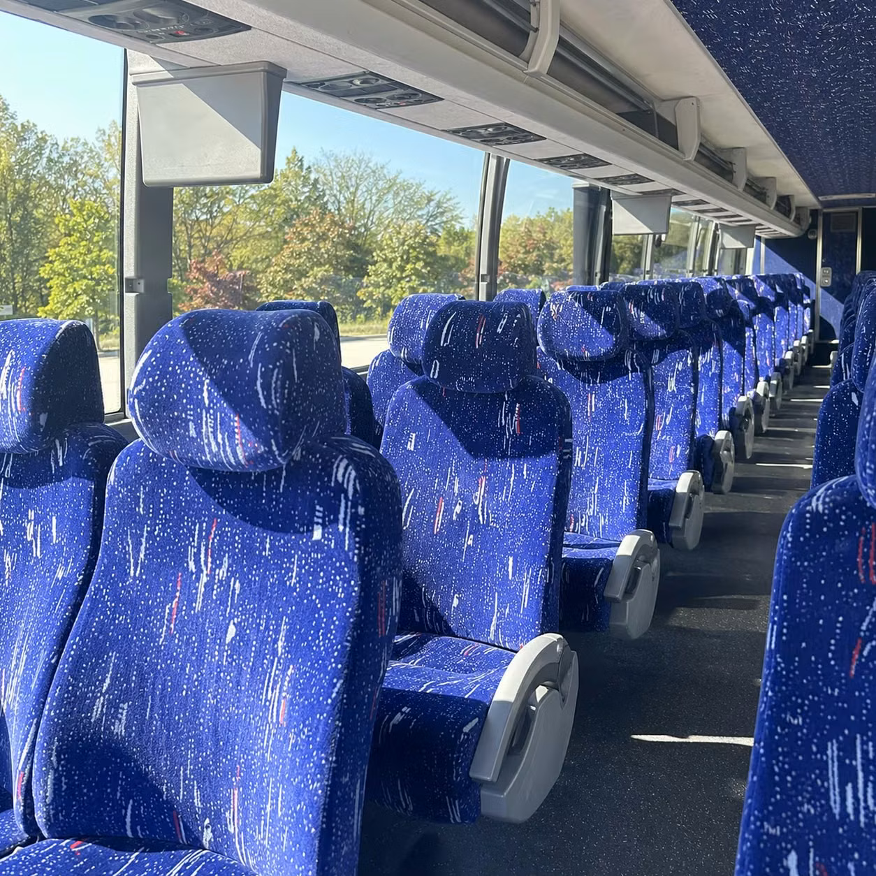 wedding bus rentals in lakewood
